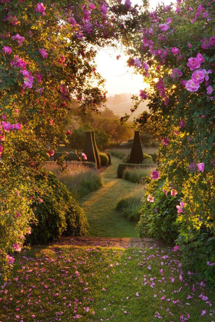 Whispering Meadow: An Ode to Serenity